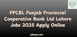 PPCBL Punjab Provincial Cooperative Bank Ltd Lahore Jobs 2025 Apply Online